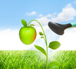 Success concept with apple Success concept with apple