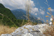 Mount Olympus