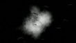 Vampire Bats flying out of night sky Vampire Bats flying out of night sky