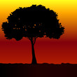 tree black vector silhouette