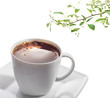 Cup of black coffee and flower