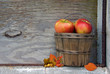 Autumn apples with leaves