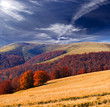 Colorful autumn landscape in the  mountains