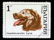 BULGARIA - CIRCA 1970