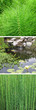 thème de l'eau et du jardin zen thème de l'eau et du jardin zen