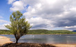 Pantano El rasillo