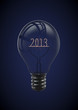 Year 2013 lightbulb
