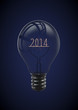 Year 2014 lightbulb
