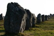 champs de menhirs en bretagne champs de menhirs en bretagne