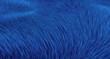 Blaue Fasern - Hintergrund Blaue Fasern - Hintergrund