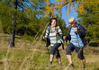 autumn hiking 9