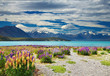Lake Tekapo, New Zealand