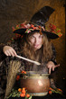 crazy halloween witch