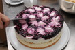 Sahnetorte - Festtagstorte - in der Bäckerei