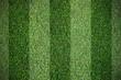 Football grass