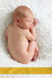 Newborn baby boy
