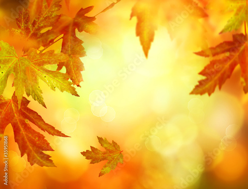 Photo: Autumn Abstract Background Autumn Abstract Background