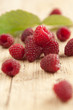 Raspberry