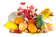 Autumn still-life with pumpkins