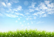 Illustration: fresh natural fresh natural