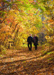 Active boy and girl in autumn wood Active boy and girl in autumn wood