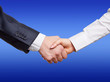 Handshake