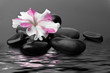 Photo: Spa with black stones Spa with black stones