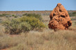 Photographie : Termiti�re Australienne