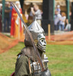 The knight in an armor