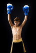 Photo: a child boxer in studio a child boxer in studio