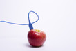 red apple with a USB cable connected