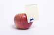 apple and notes paper