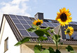 Solarzellen auf Hausdach hinter Sonnenblumen
