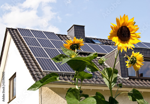 Foto: Solarzellen auf Hausdach hinter Sonnenblumen Solarzellen auf Hausdach hinter Sonnenblumen