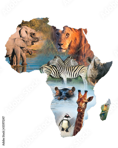 Foto: africa collage africa collage