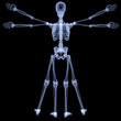 vitruvian