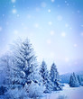 winter landscape winter landscape