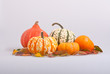 Pumpkins On Autumn Leaves