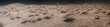 Desert Panorama