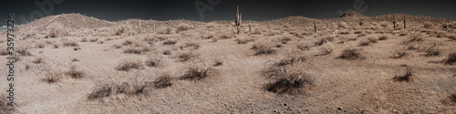 Photo: Desert Panorama Desert Panorama