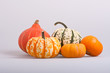 Five colourfull pumpkins on a isolated background