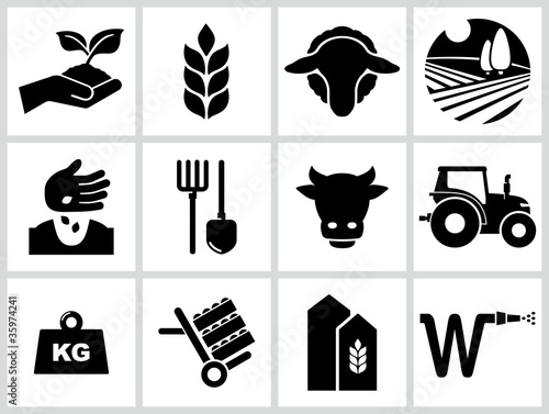 Vector: Agriculture and farming icons. Agriculture and farming icons.
