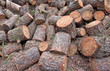 firewood