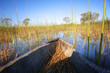 Okavango Delta - Botsuana / Botswana - Africa