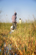 Okavango Delta - Botsuana / Botswana - Africa