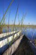 Okavango Delta - Botsuana / Botswana - Africa
