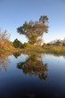 Okavango Delta - Botsuana / Botswana - Africa