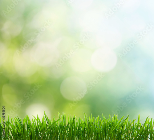 spring background