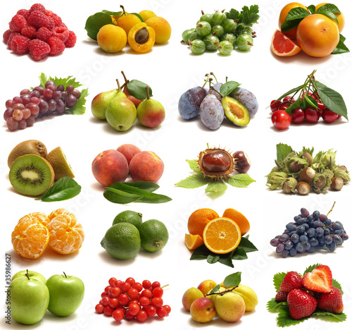 Foto: Fruits collection Fruits collection