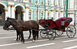 carriage with horses in the background of the Hermitage